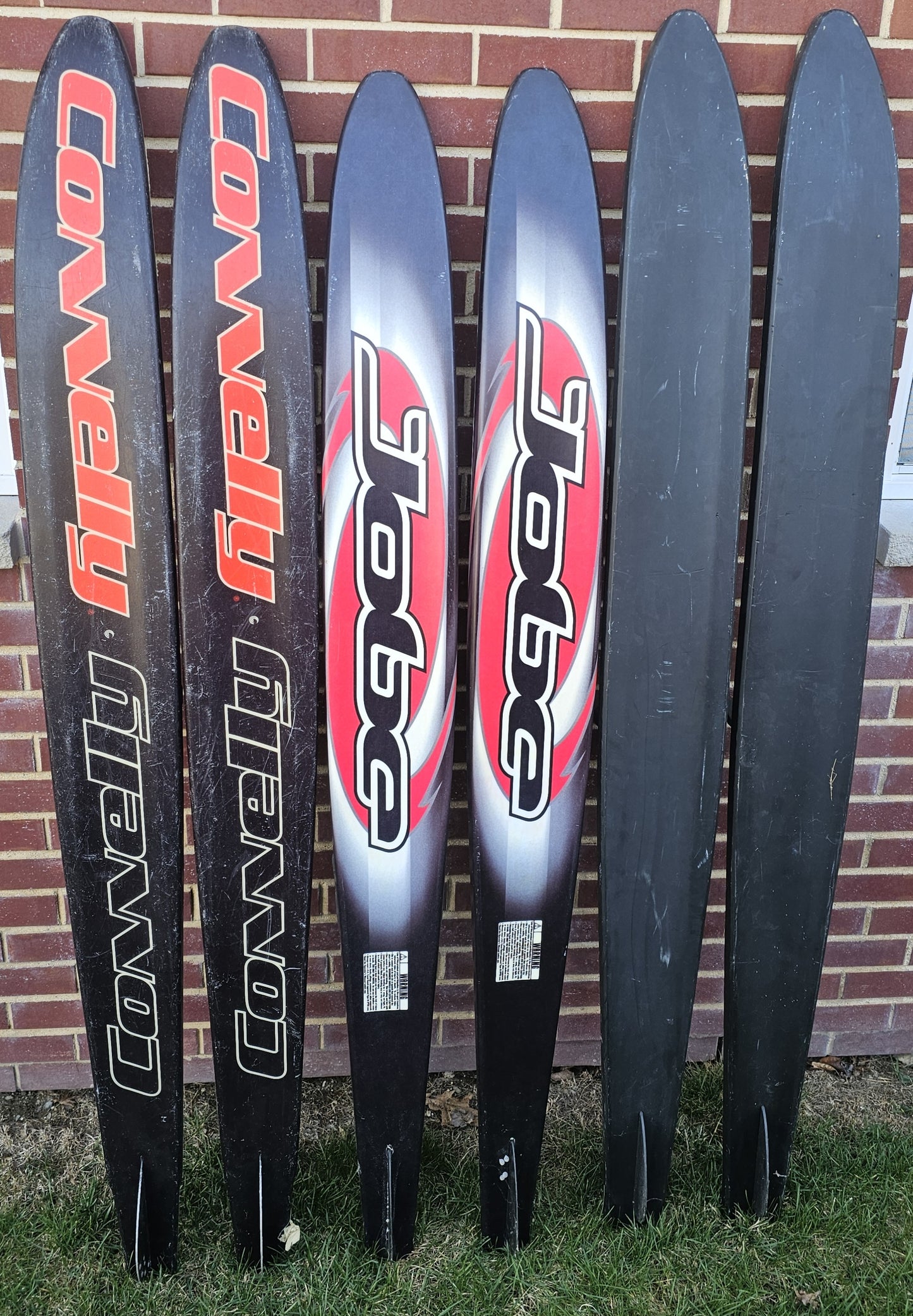 Shot Ski Water Ski - Shot Ski or Shotski, real Water Ski - Group choice