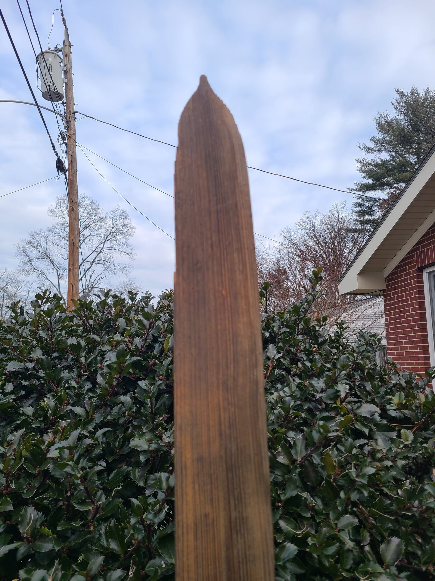 Shot Ski Antique Wooden Shot Ski, 4 shot made from real snow ski from the 20's