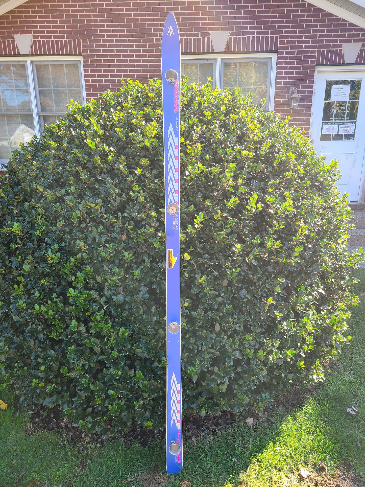 Shot Ski Hot Purple and Pink Volkl Shot Ski ONE OFF - 4 shot with Large 2.5 oz Shots, SkiShot, Wedding Shot, Tailgate