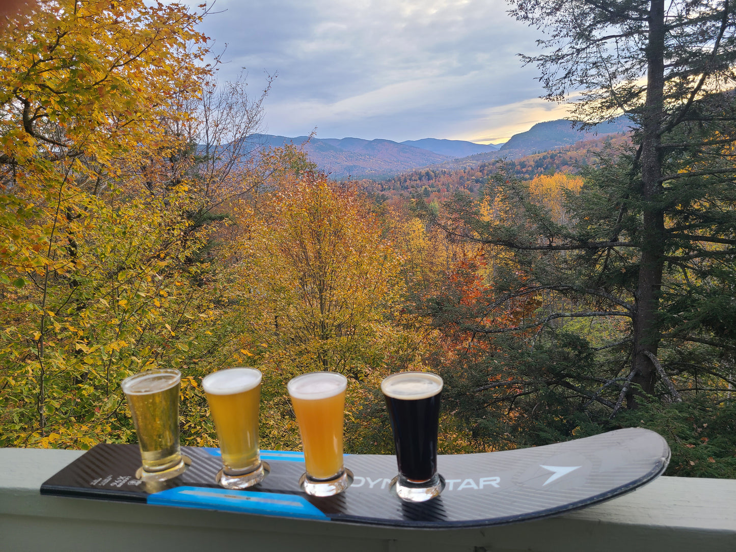 Beer Flight   Recycled Snow Ski Single Beer Flight only with no Glasses