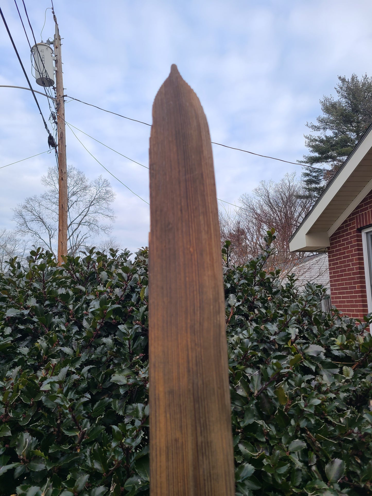 Shot Ski   Antique Wooden Shot Ski, 4 shot made from real snow ski from the 20's