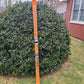 Shot Ski, 4 shot made from a real Olin Mark IV old school snow ski - One Off Ski
